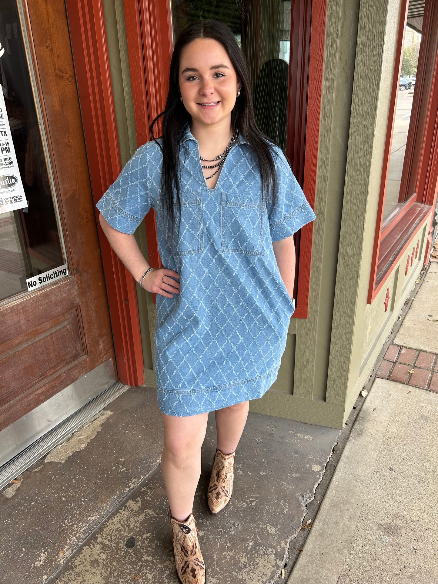 Waitress Denim Dress