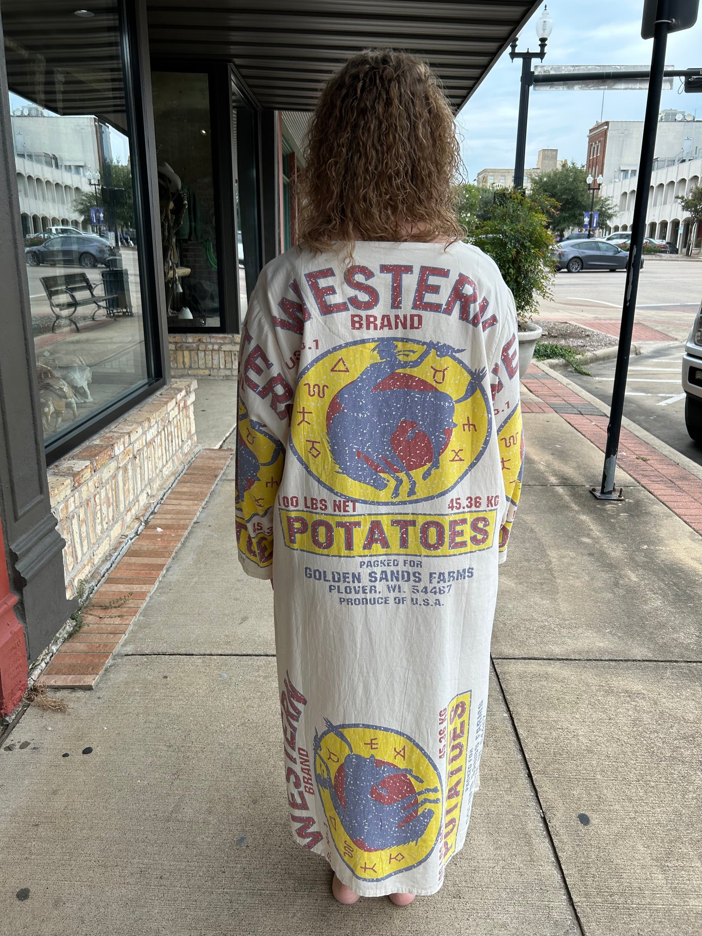 Western - Mercantile Dress