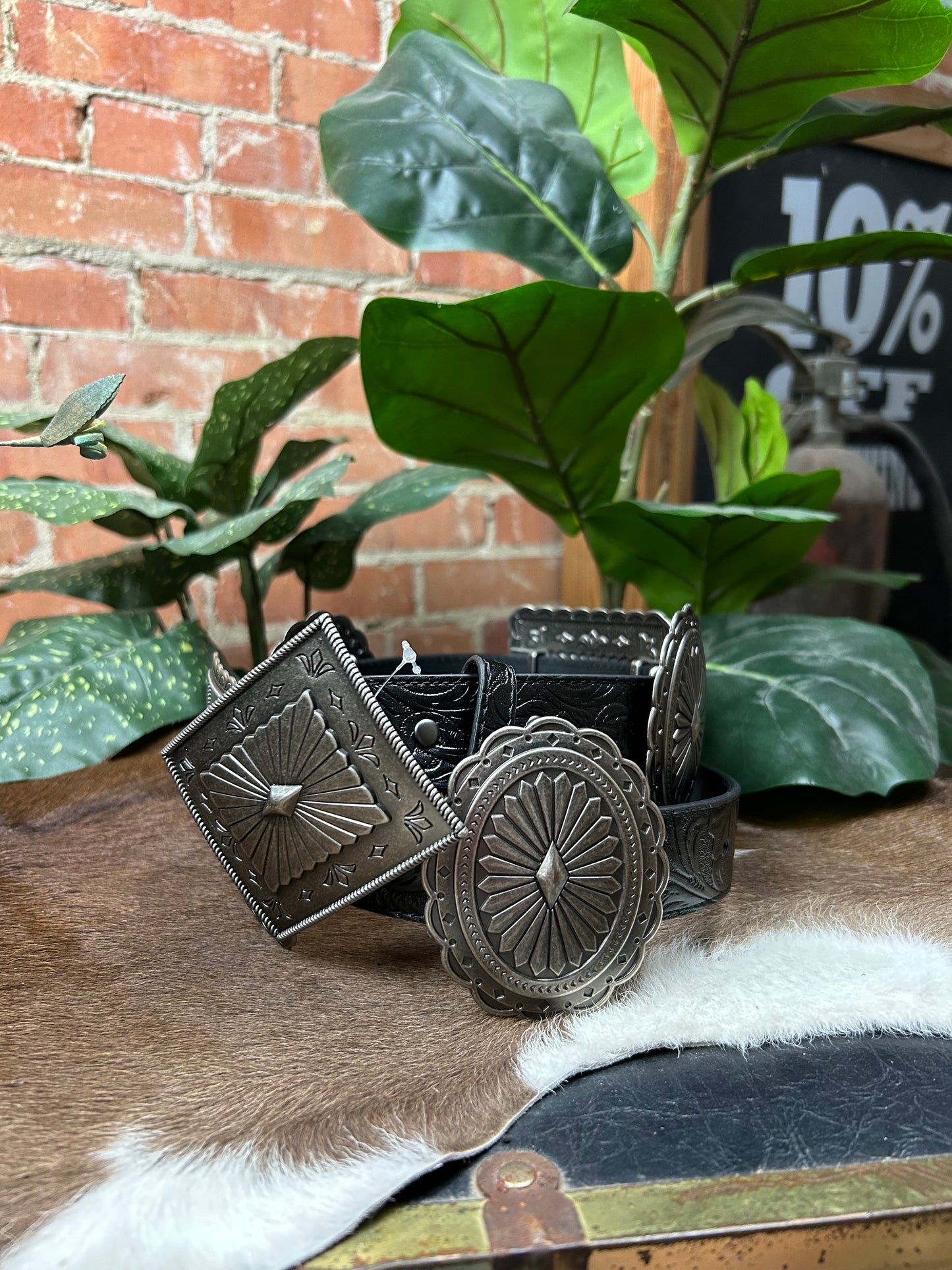 The Filly Belt