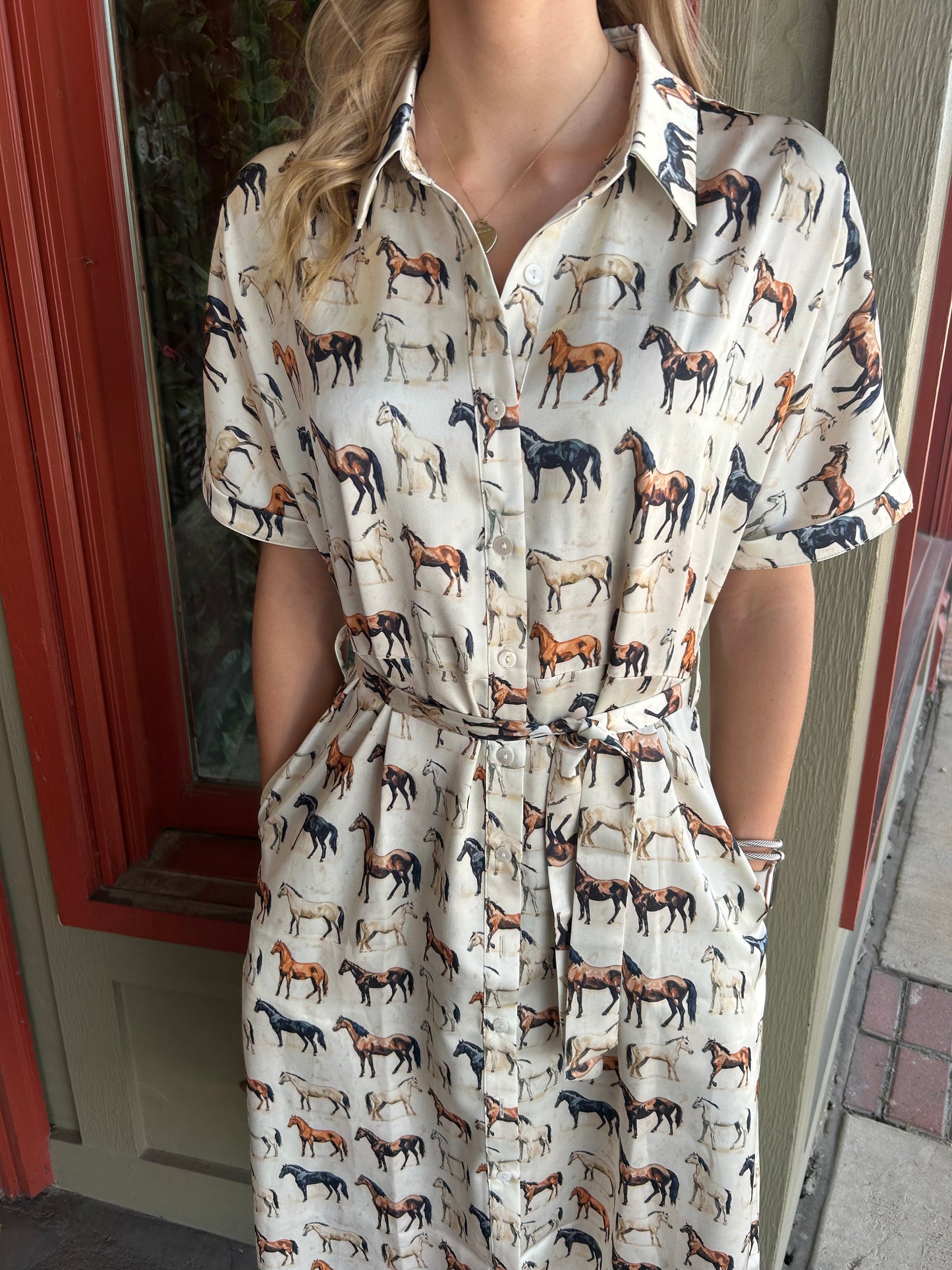 Vanessa Horse Dress