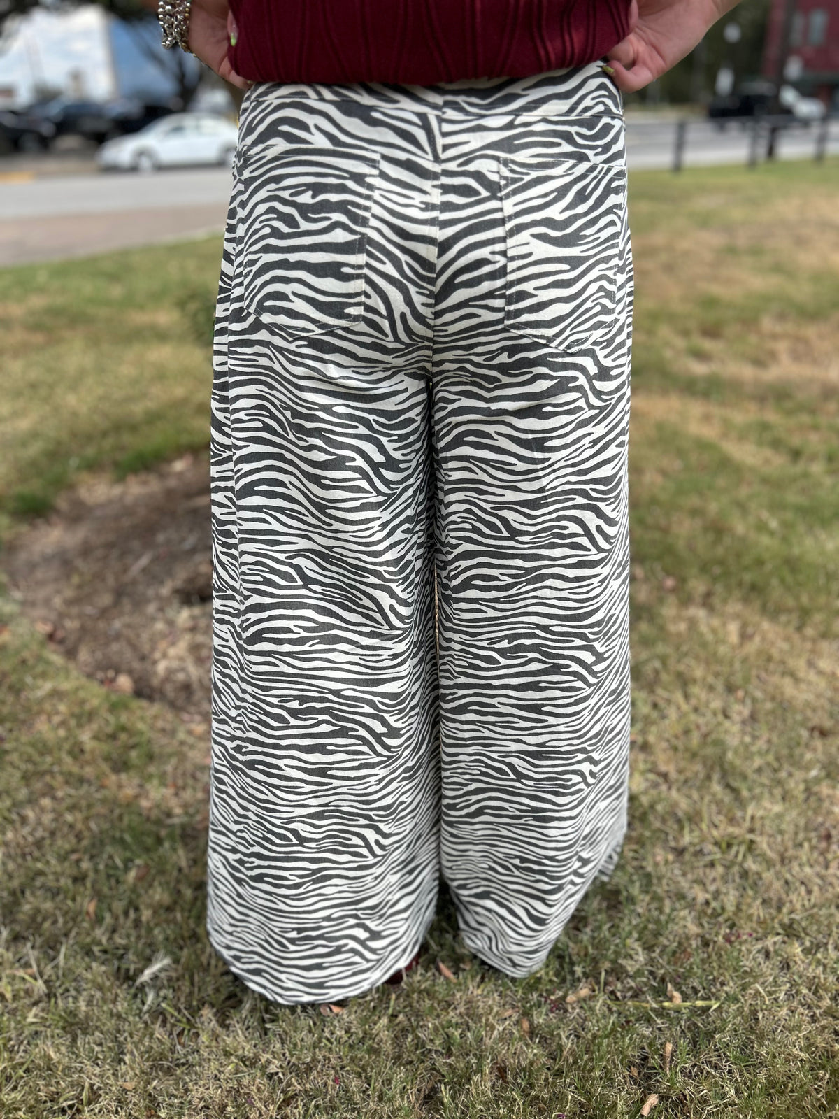 Zebra Pants