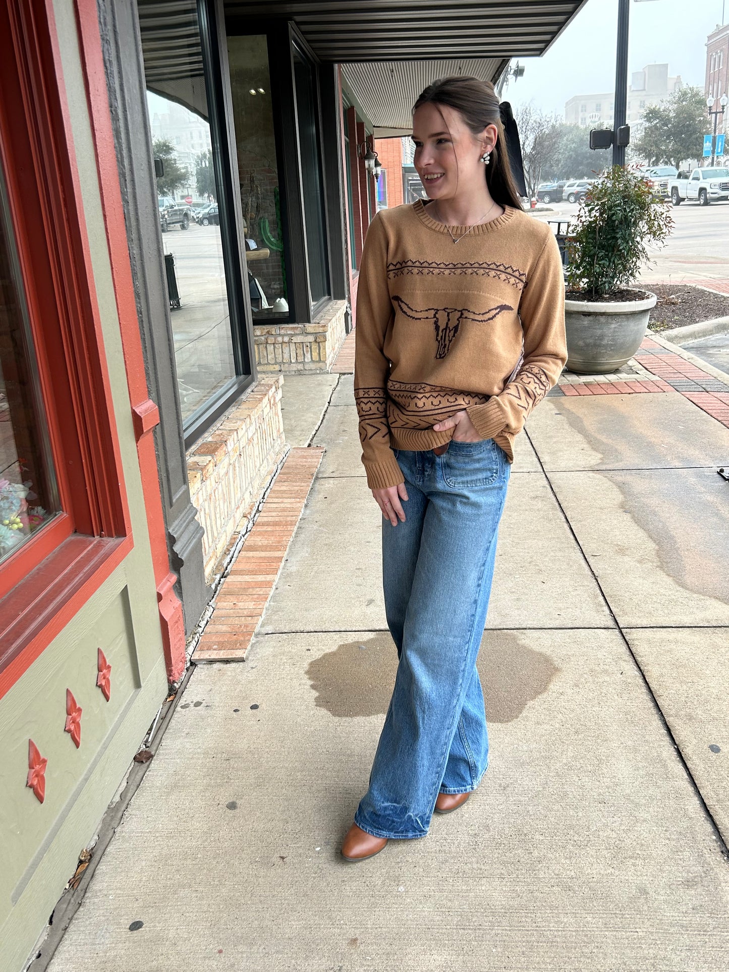 Longhorn Sweater