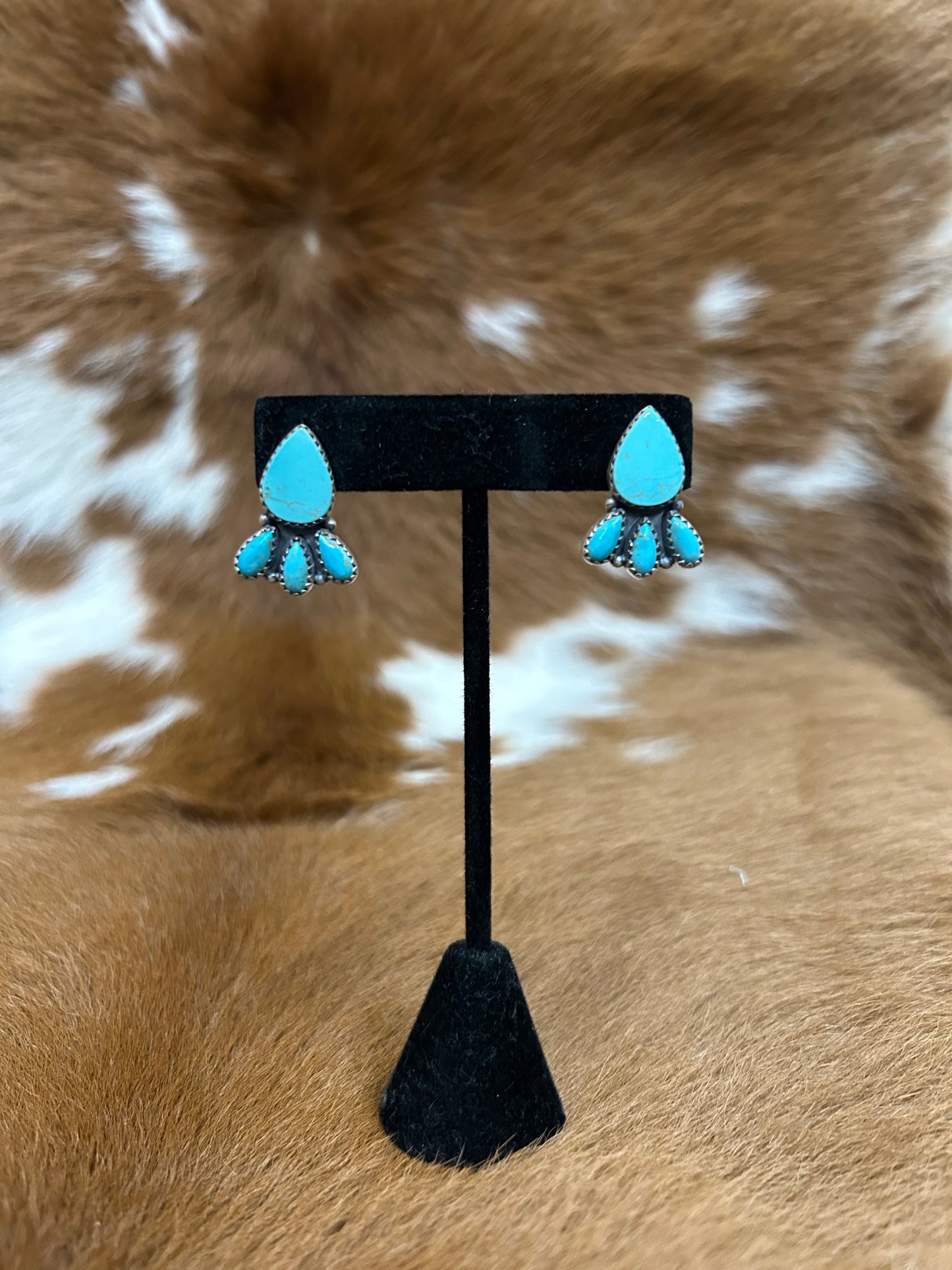 Dart Cluster - Kingman