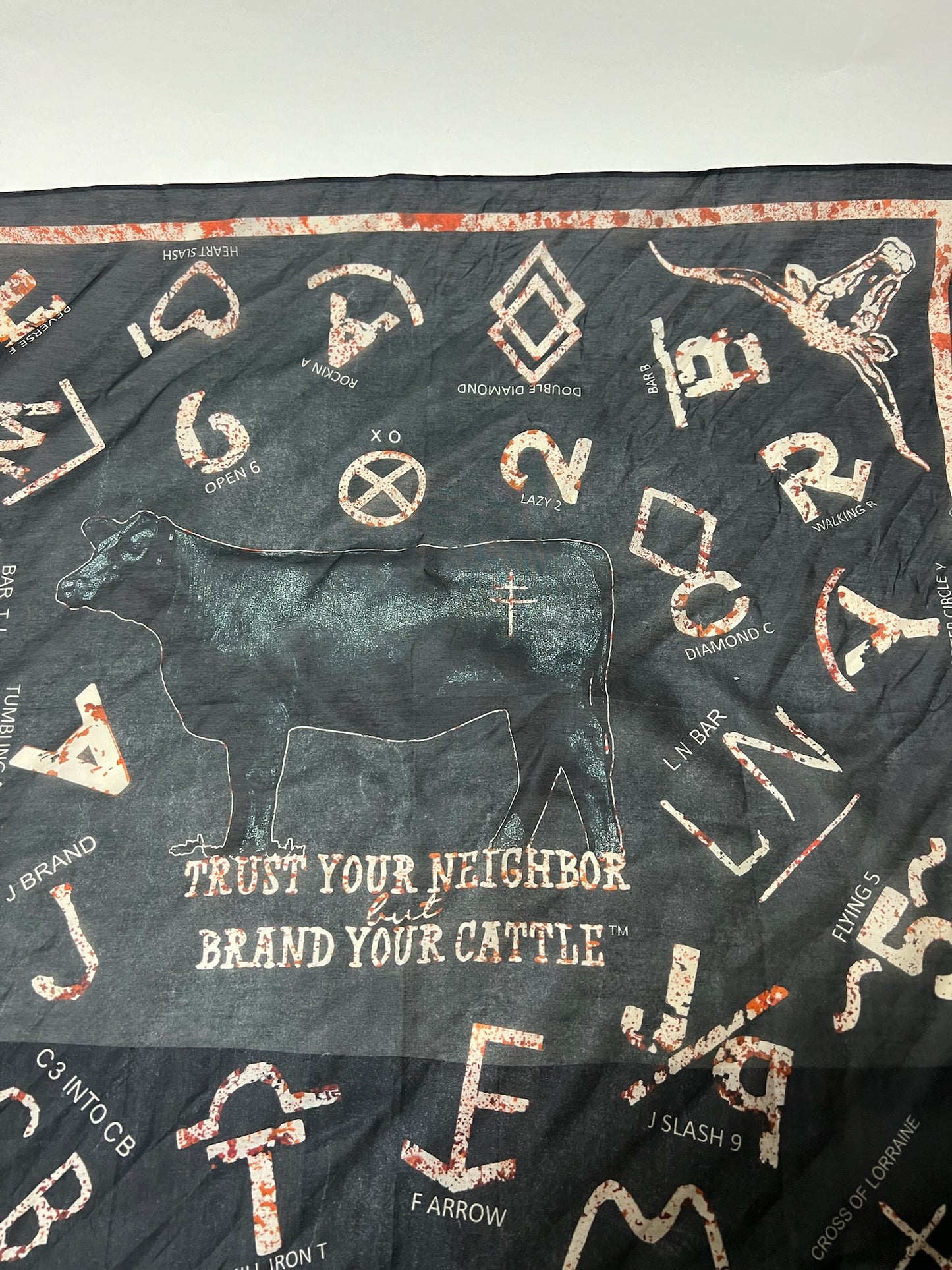 Xo Cattlebrands Scarf