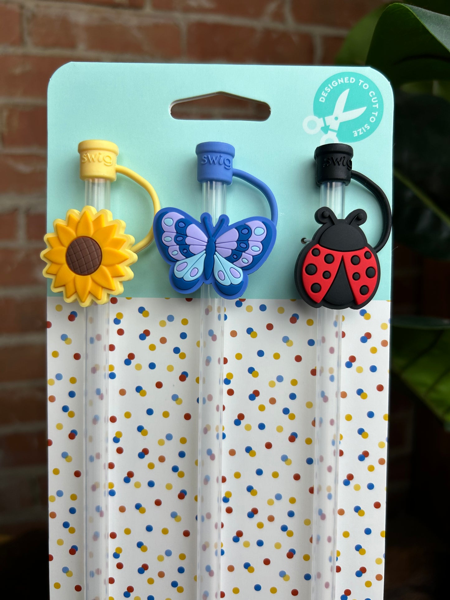 Picnic Straw Topper Set