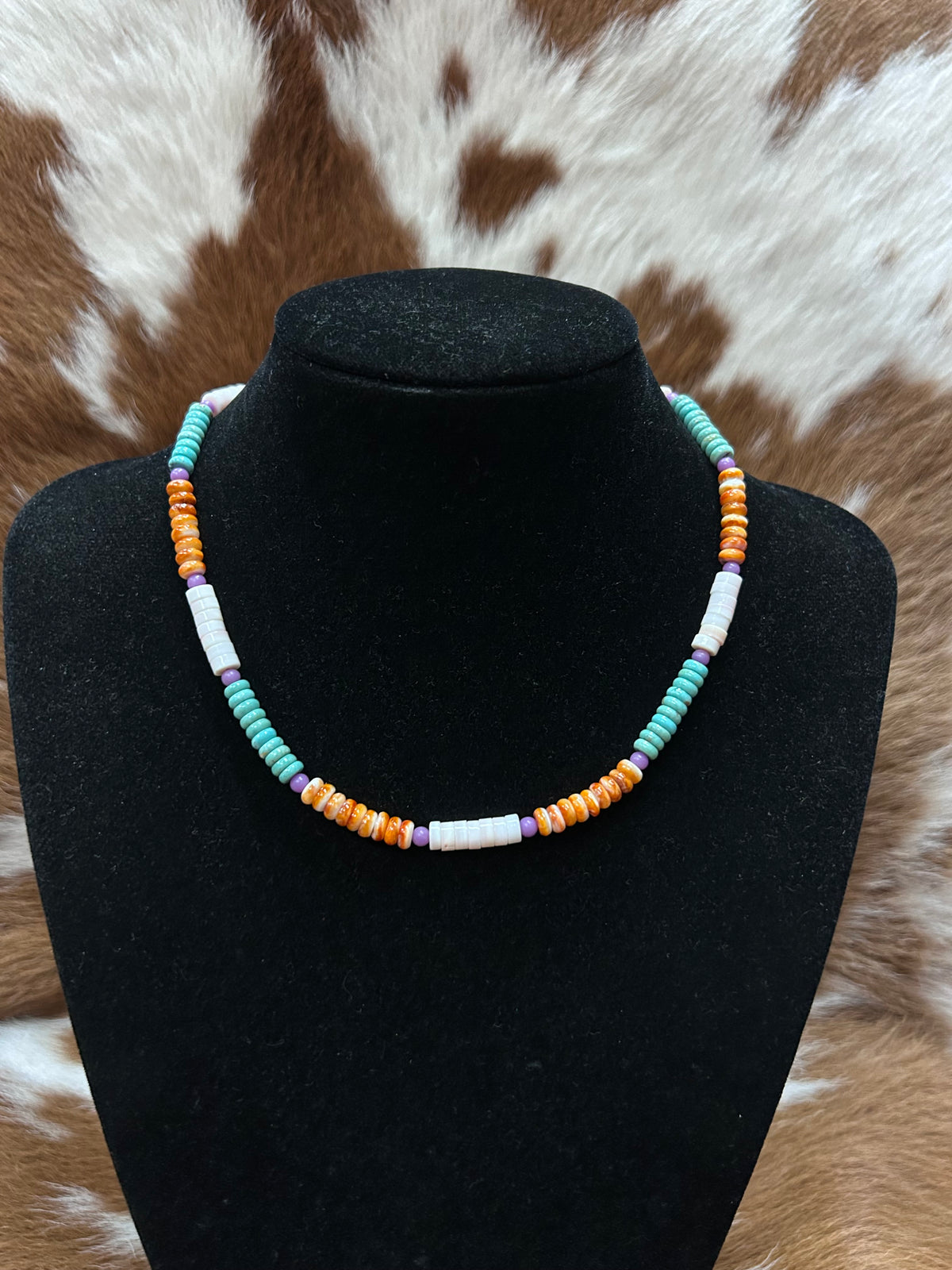 Heishi Turq/Spiney/Conch Necklace