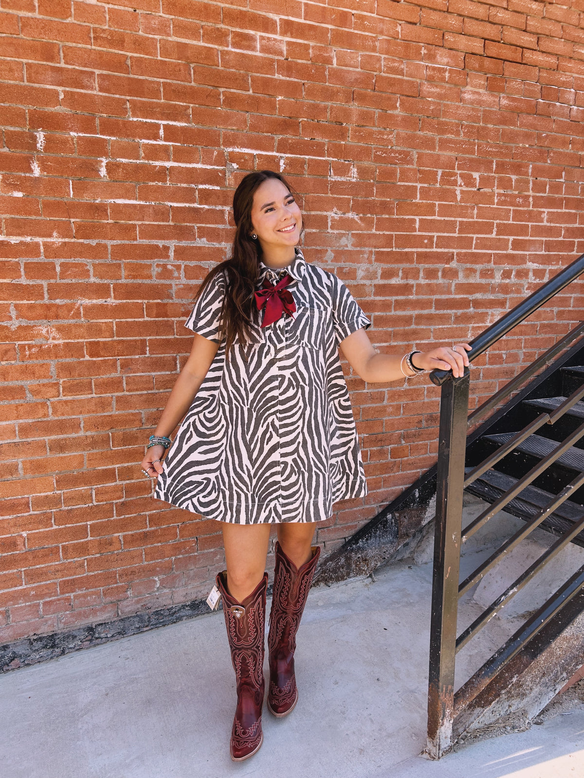 Zebra Dress