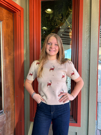 Reindeer Sweater Top