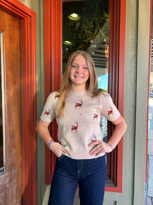 Reindeer Sweater Top