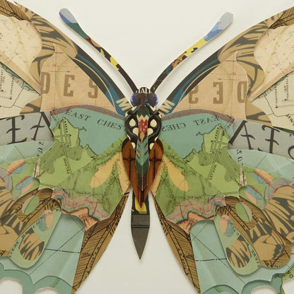 3D Buttefly Collage Art