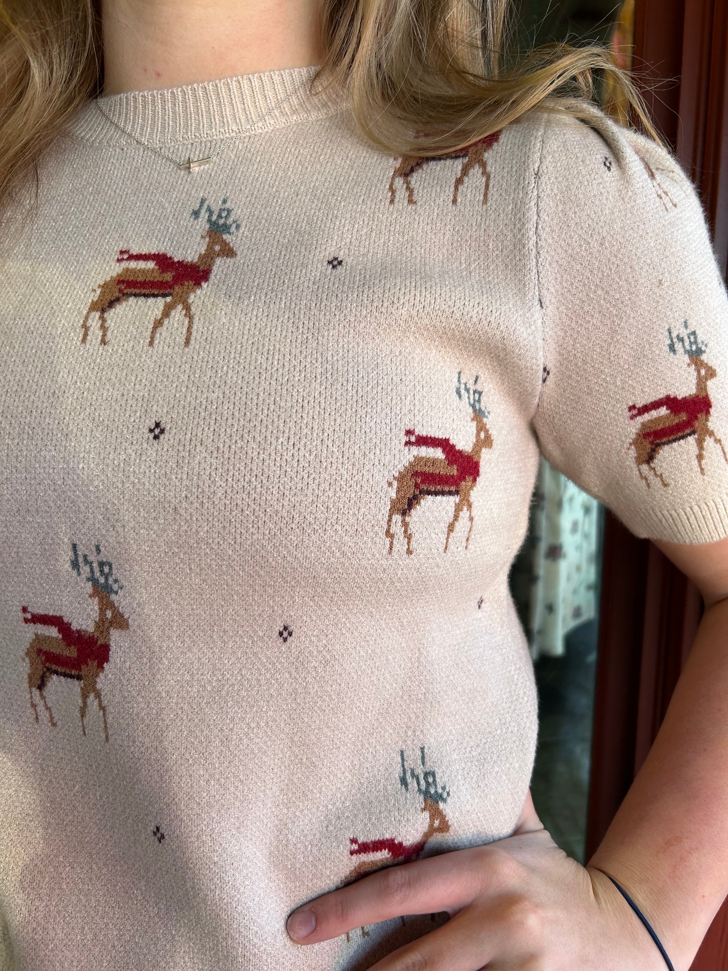 Reindeer Sweater Top