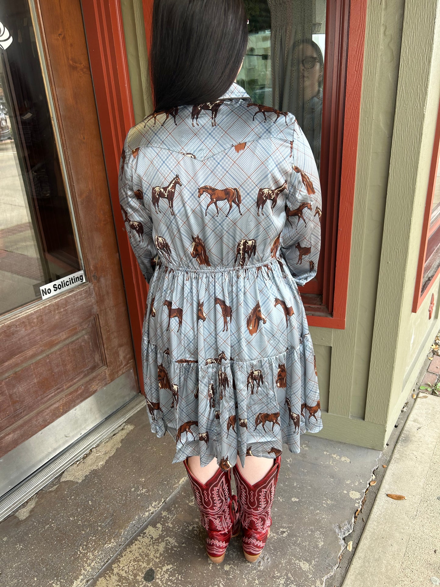 Nu Rodeo Dress
