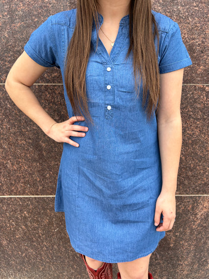 Gateway Denim Dress