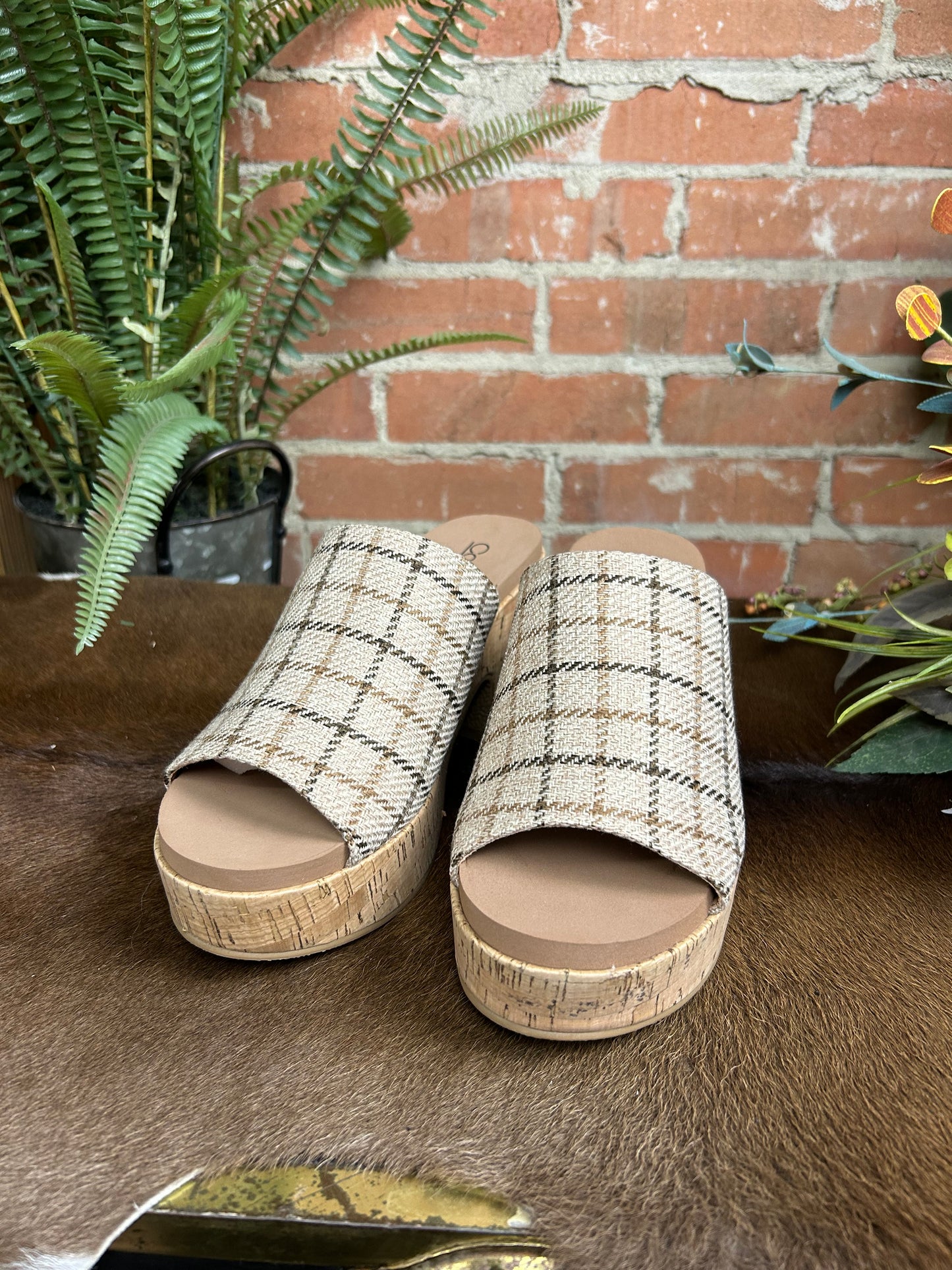 Totally Buggin - Camel Plaid