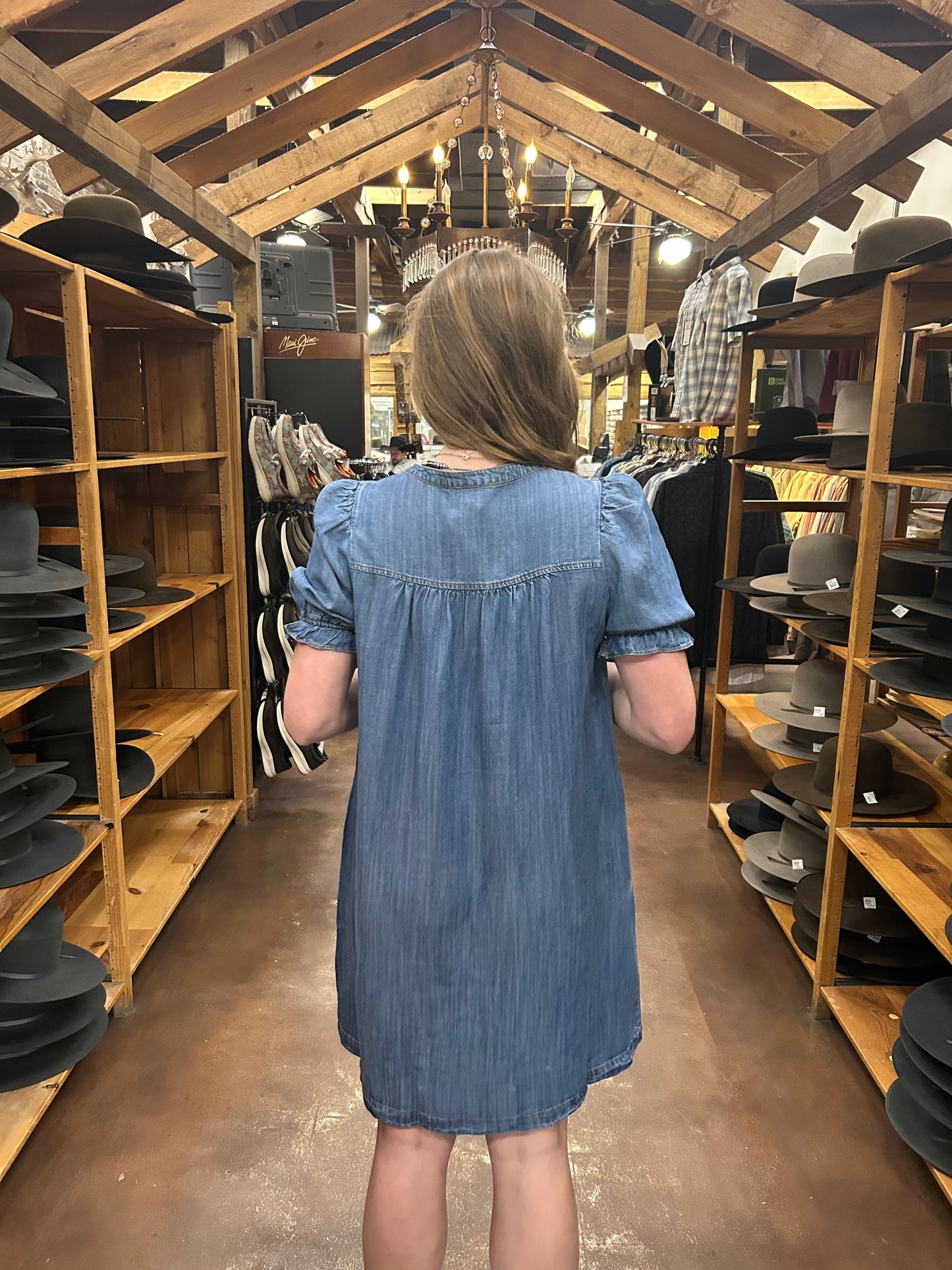 Shari Denim Dress