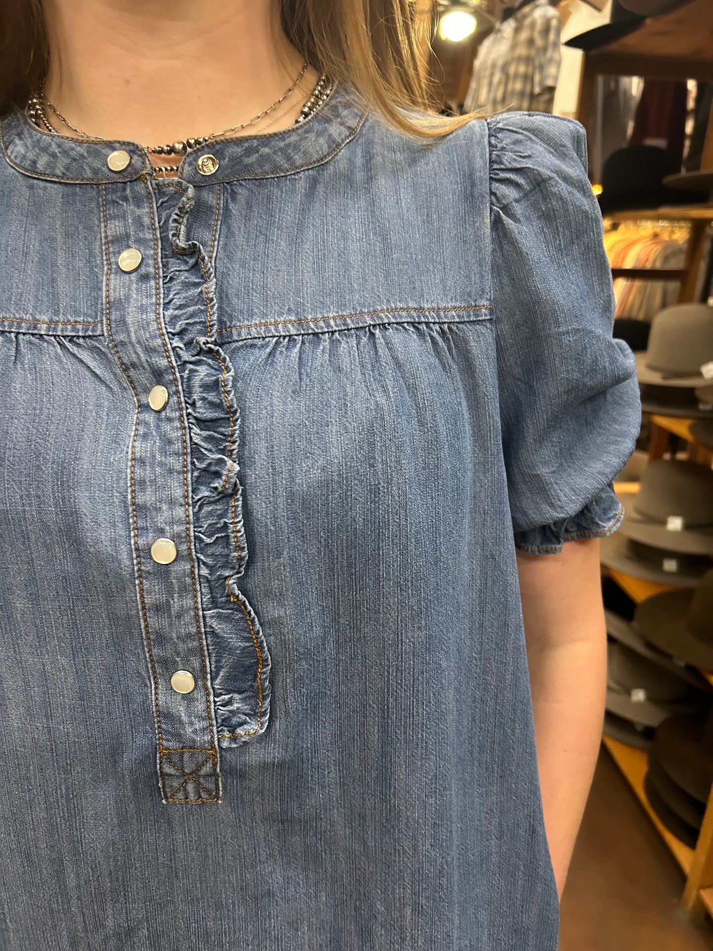 Shari Denim Dress