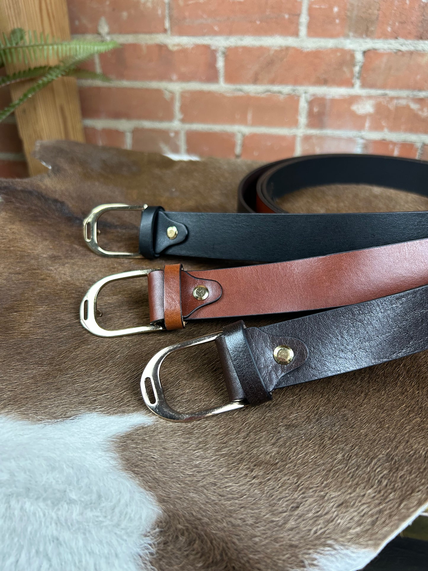 Gold Estribo Stirrup Belt