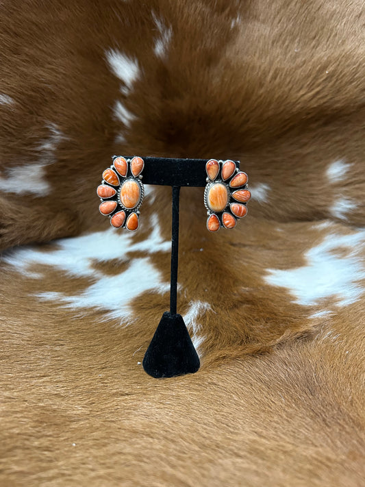 Marcella James Studs