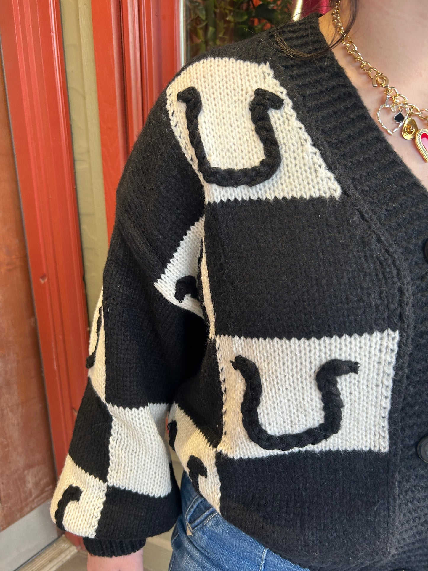 Horseshoe Cardigan