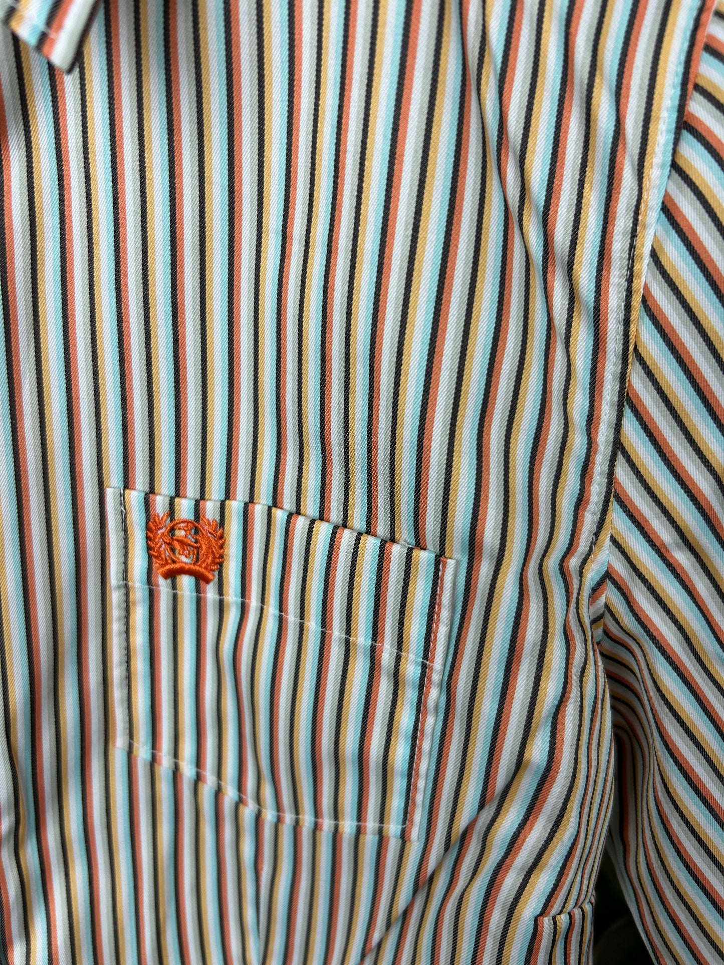 Citrus Stripe Button Down