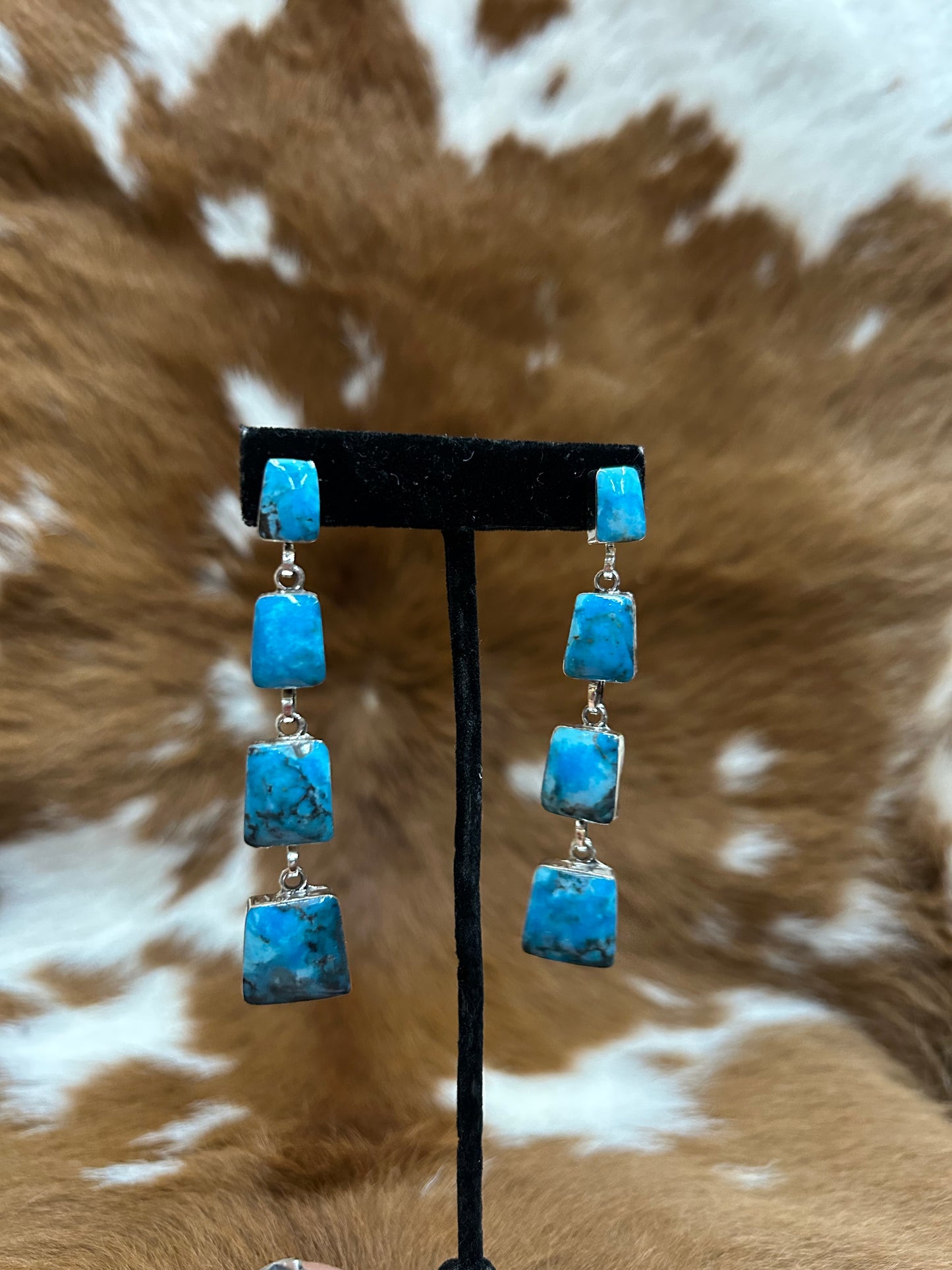 Gregg Yazzie Drop Earrings