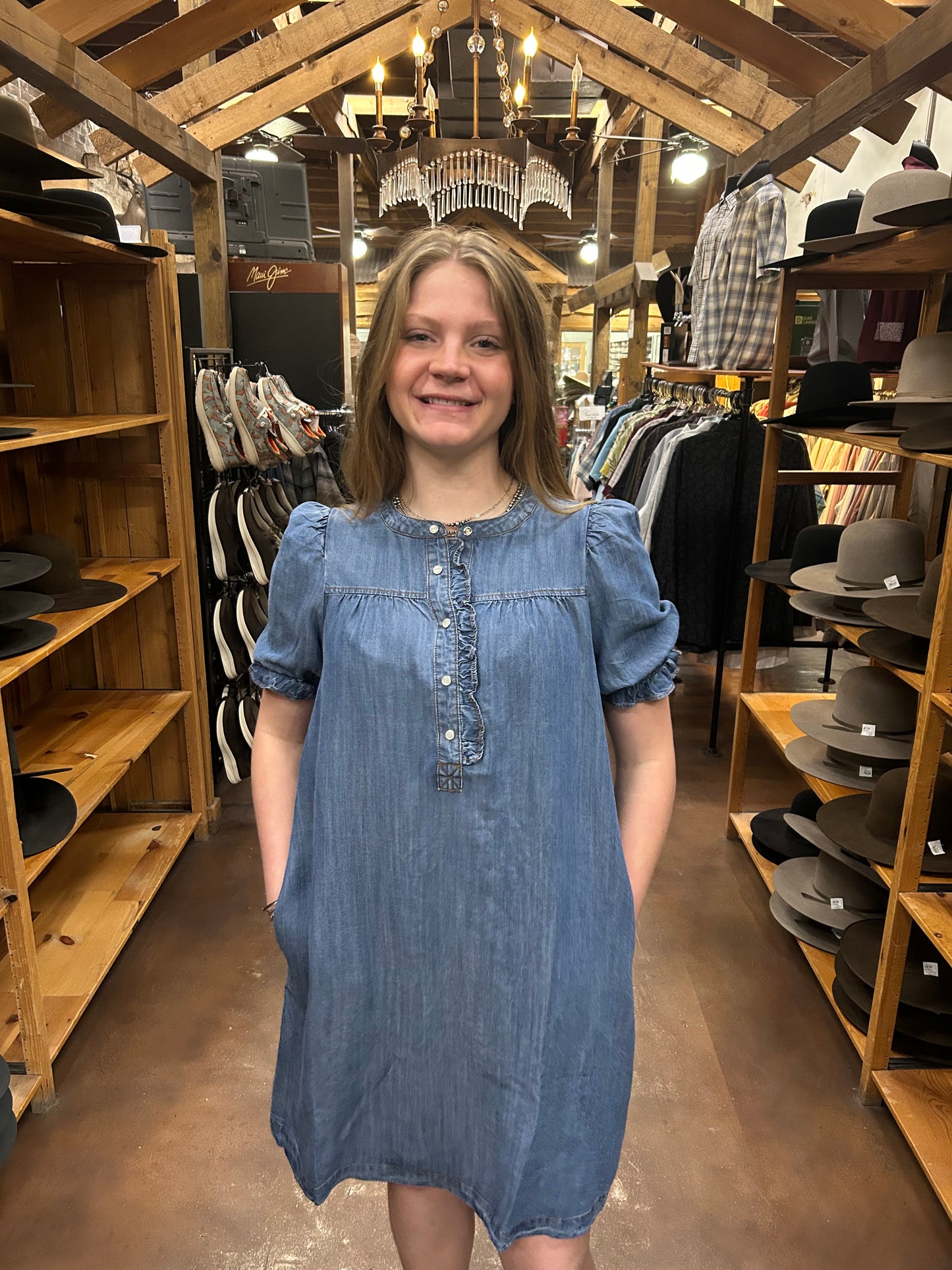 Shari Denim Dress