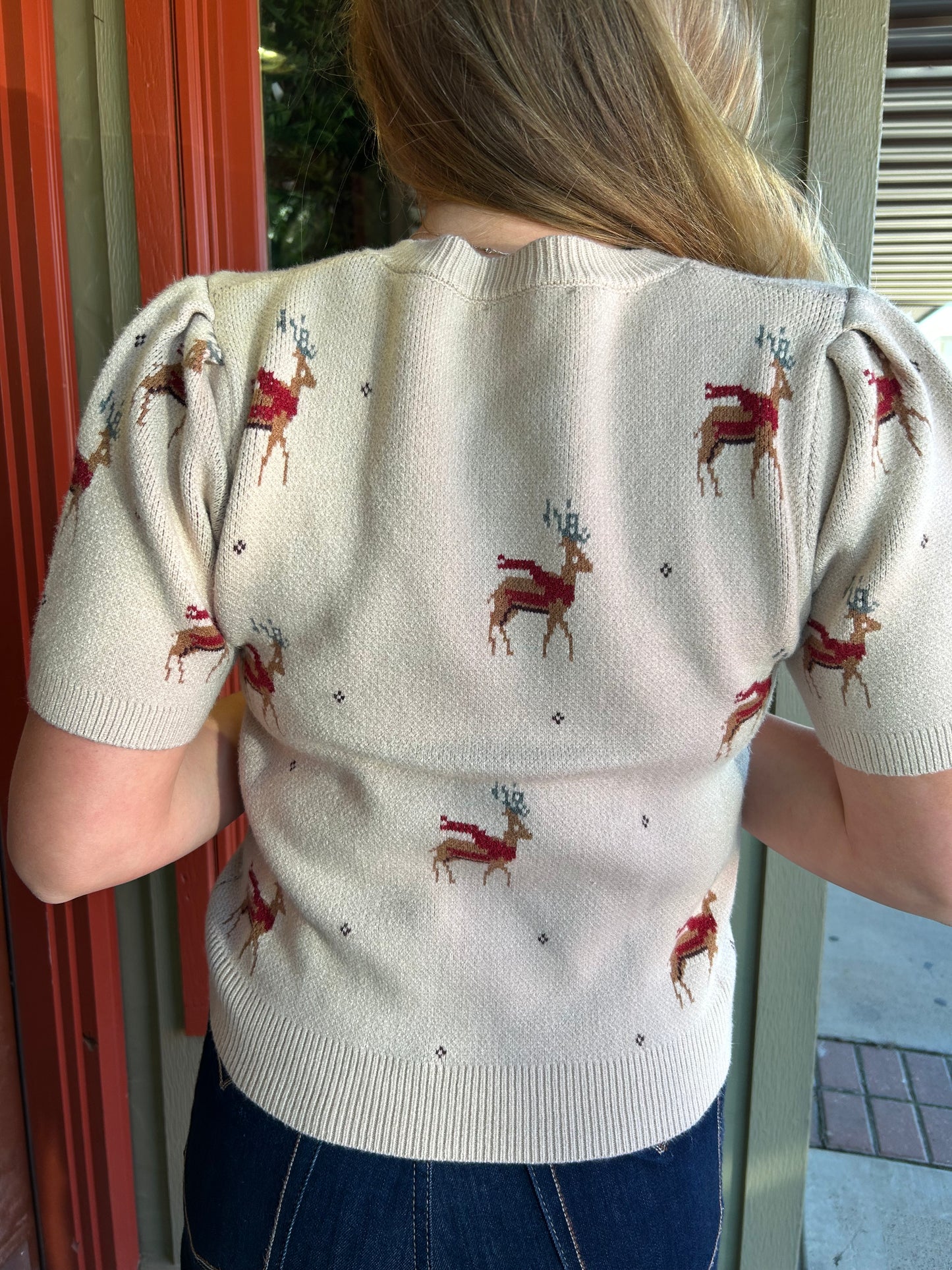 Reindeer Sweater Top