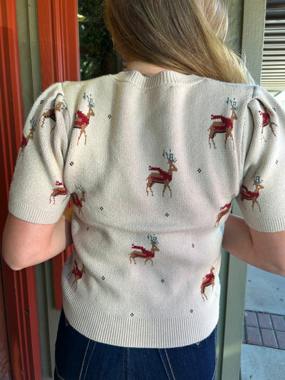 Reindeer Sweater Top