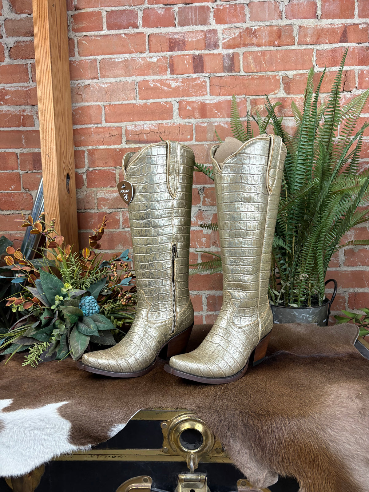 Casanova Boots -Champagne Croc