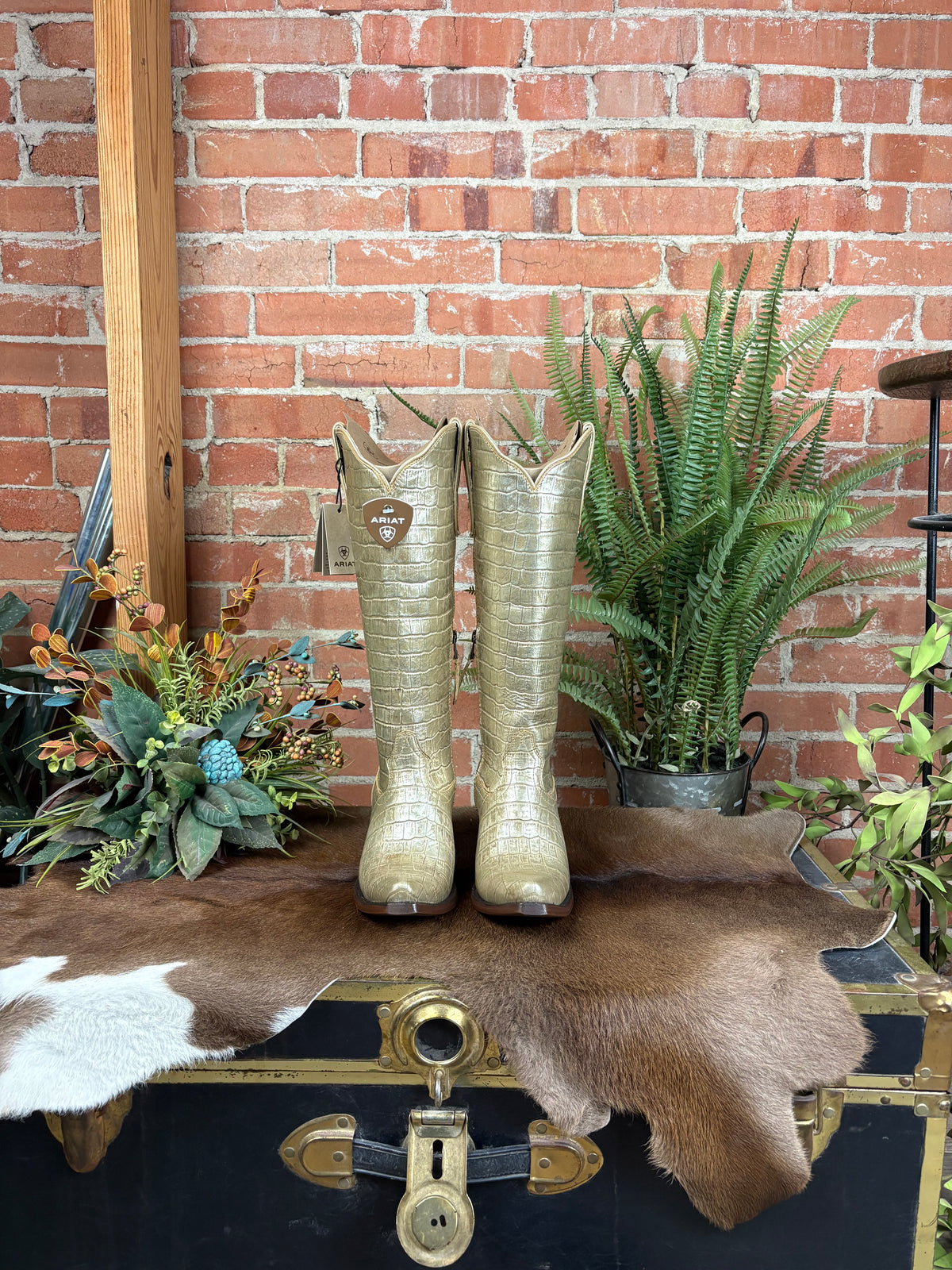 Casanova Boots -Champagne Croc