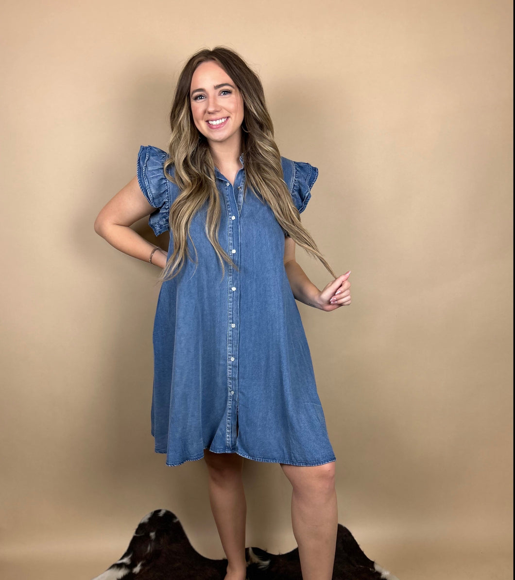 Lucy Denim Dress