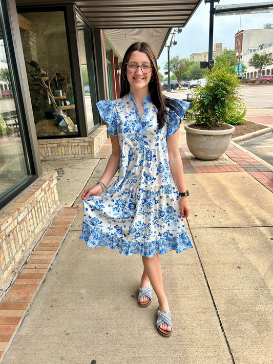 China Plate Blue Dress