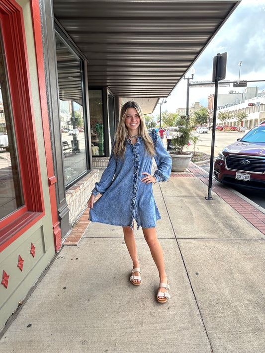 Lucy Long Sleeve Denim Dress